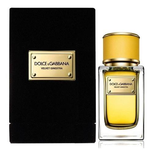 Dolce & Gabbana Velvet Ginestra EDP 150ml  For Women - Thescentsstore